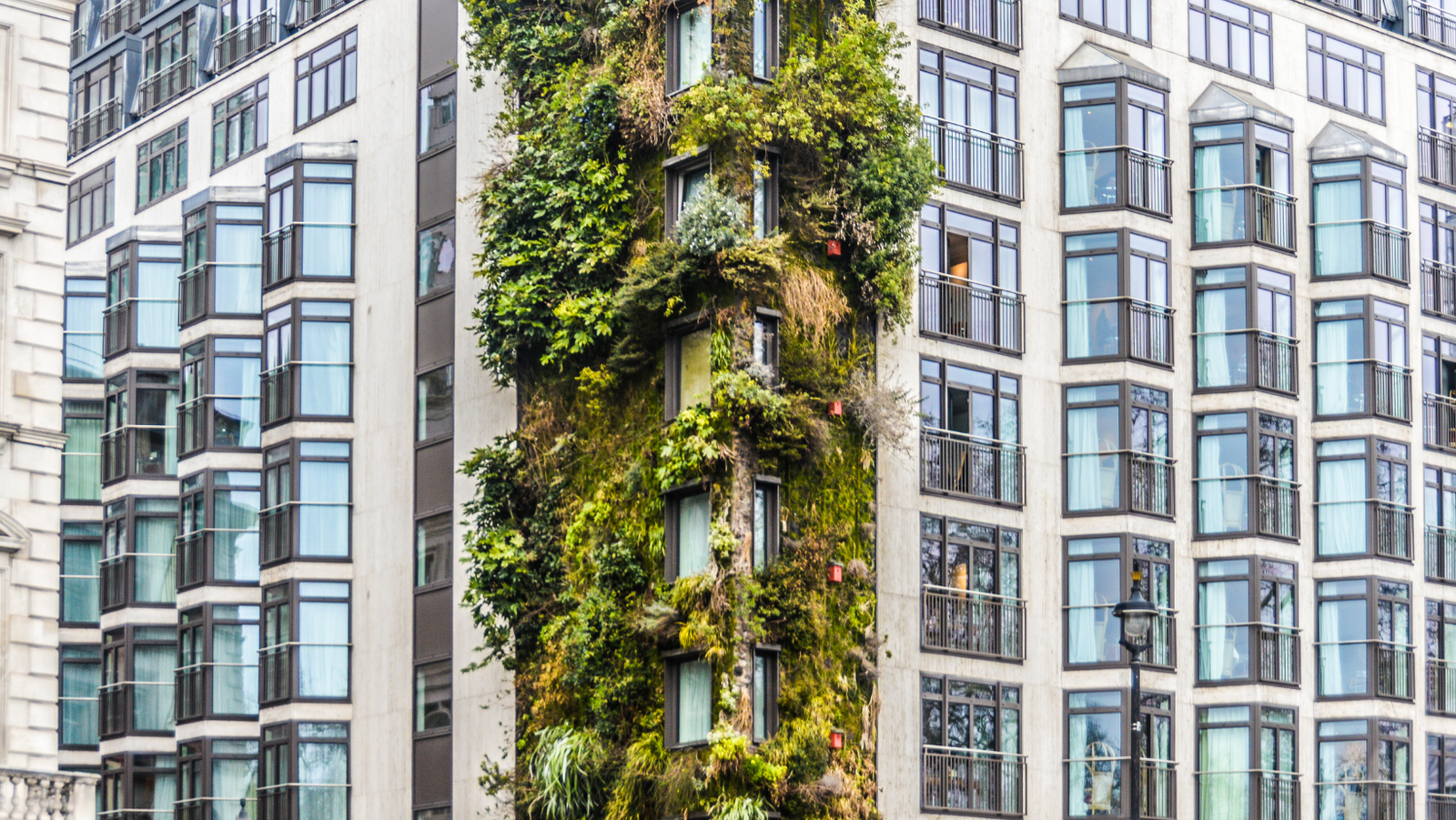 3 Cursos en 1: Jardín Vertical Profesional, Cuadros Vivos y Huertas Verticales