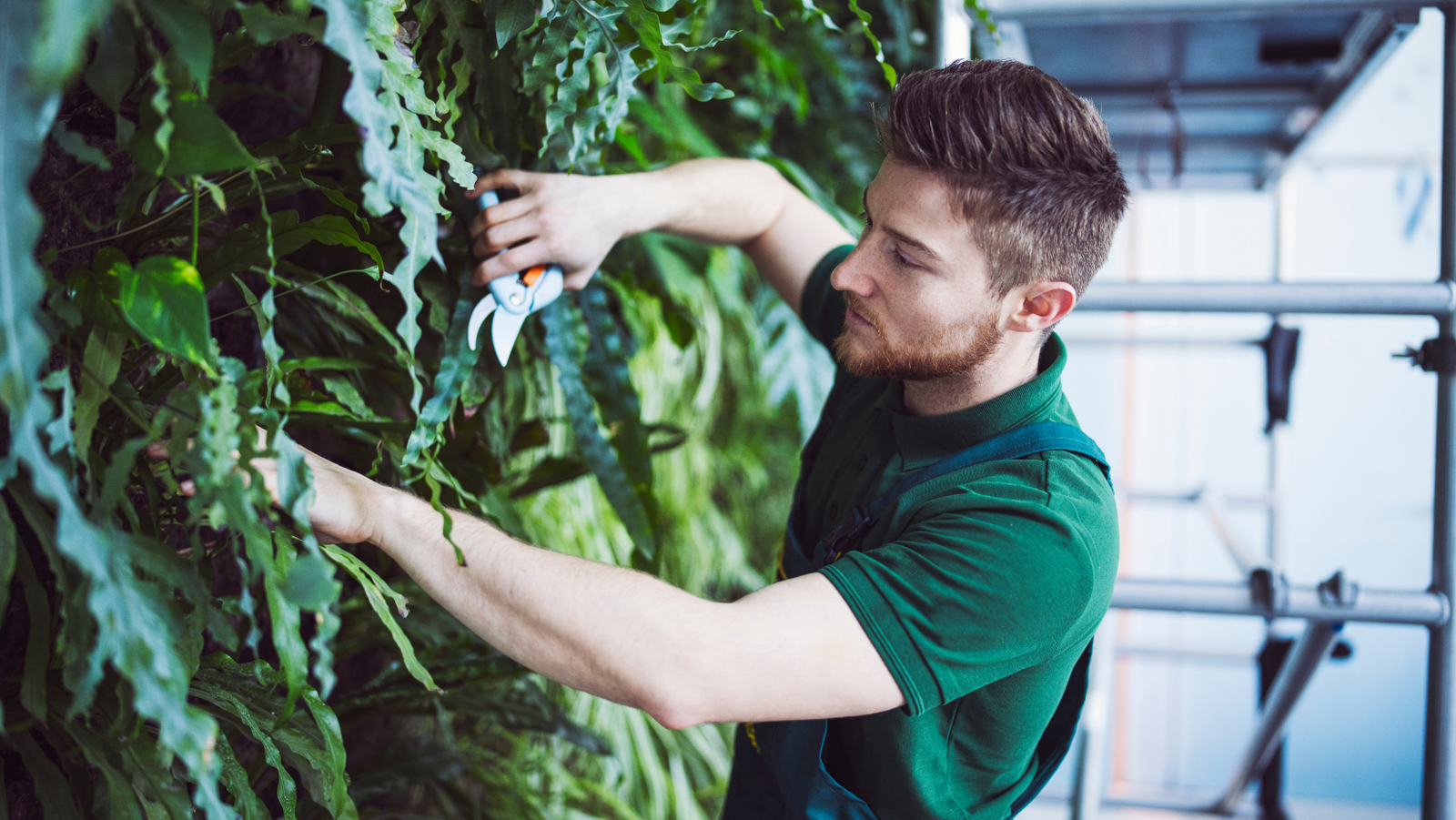 3 Cursos en 1: Jardín Vertical Profesional, Cuadros Vivos y Huertas Verticales