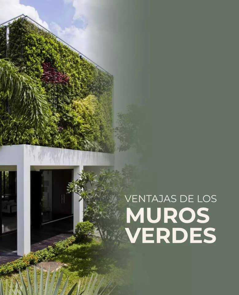 3 Cursos en 1: Jardín Vertical Profesional, Cuadros Vivos y Huertas Verticales