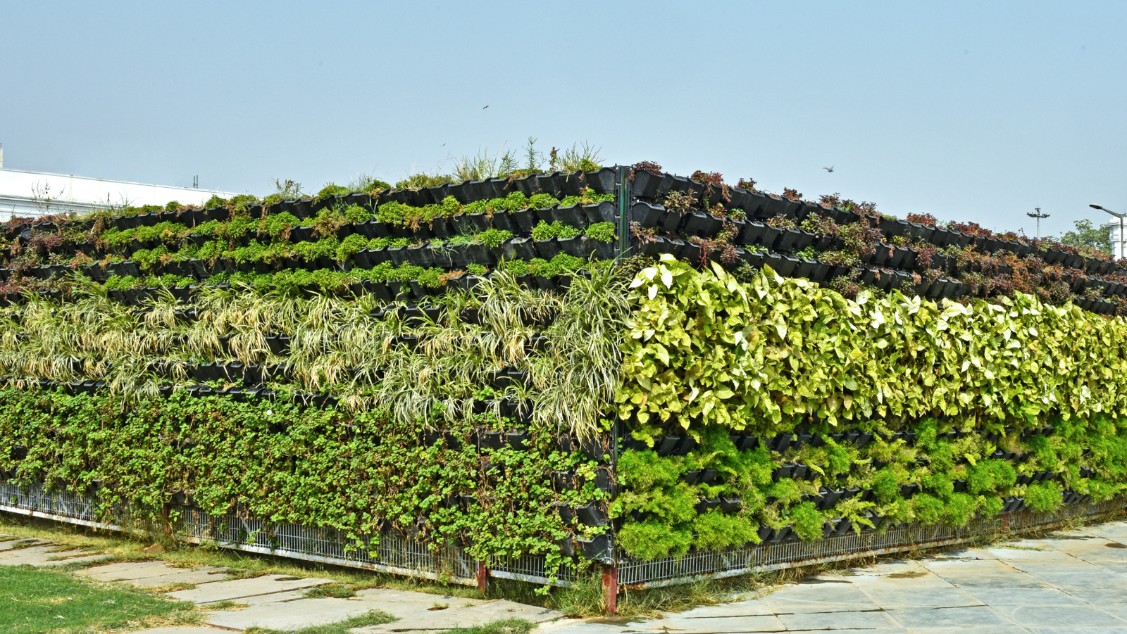 3 Cursos en 1: Jardín Vertical Profesional, Cuadros Vivos y Huertas Verticales