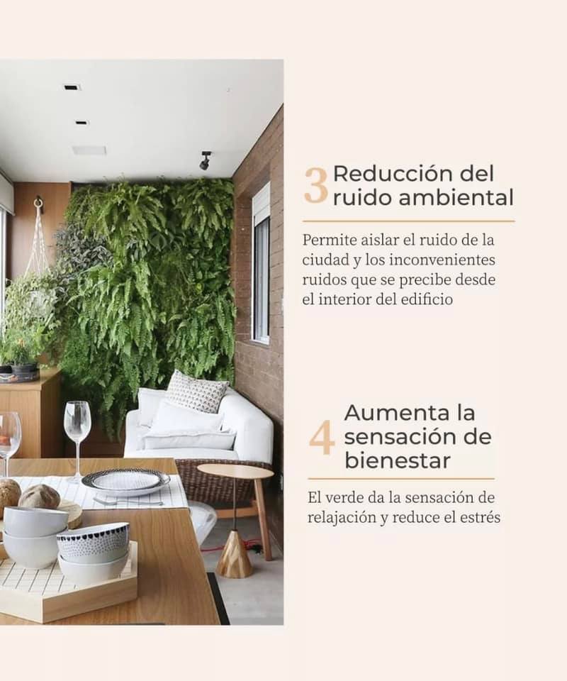 3 Cursos en 1: Jardín Vertical Profesional, Cuadros Vivos y Huertas Verticales