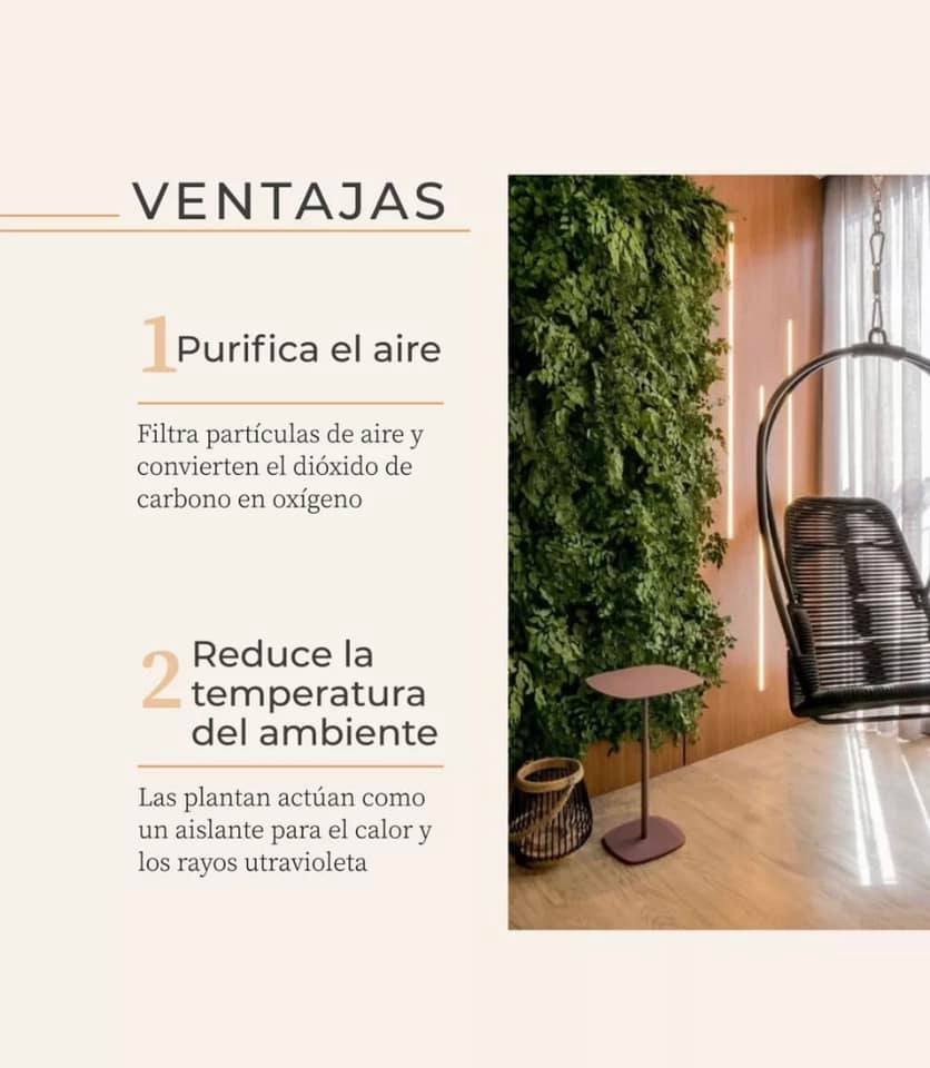 3 Cursos en 1: Jardín Vertical Profesional, Cuadros Vivos y Huertas Verticales