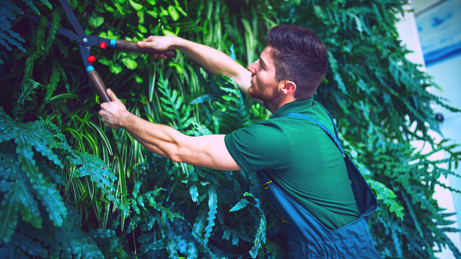 3 Cursos en 1: Jardín Vertical Profesional, Cuadros Vivos y Huertas Verticales