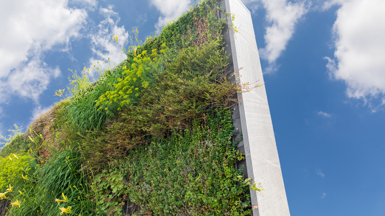 3 Cursos en 1: Jardín Vertical Profesional, Cuadros Vivos y Huertas Verticales