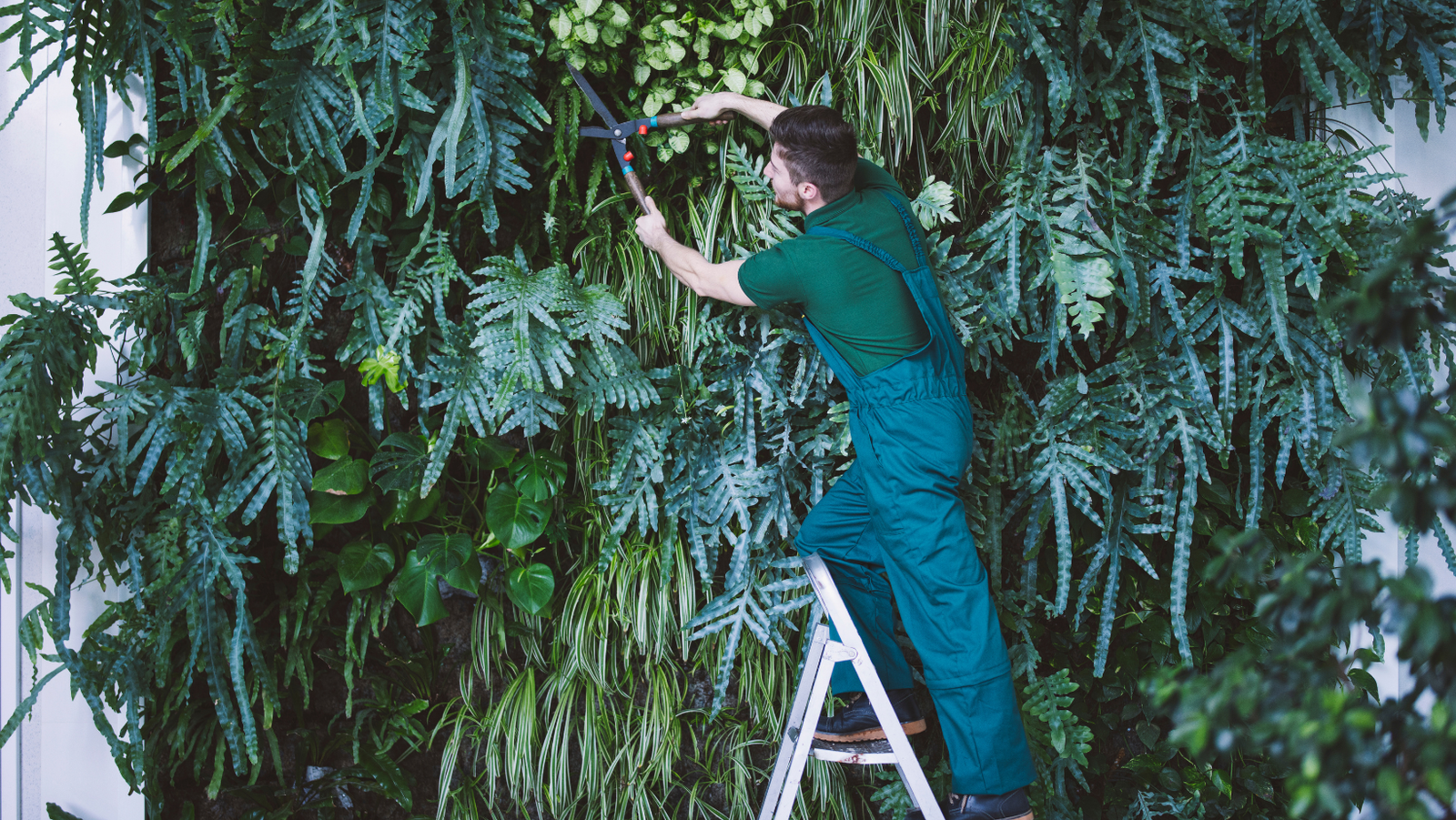 3 Cursos en 1: Jardín Vertical Profesional, Cuadros Vivos y Huertas Verticales