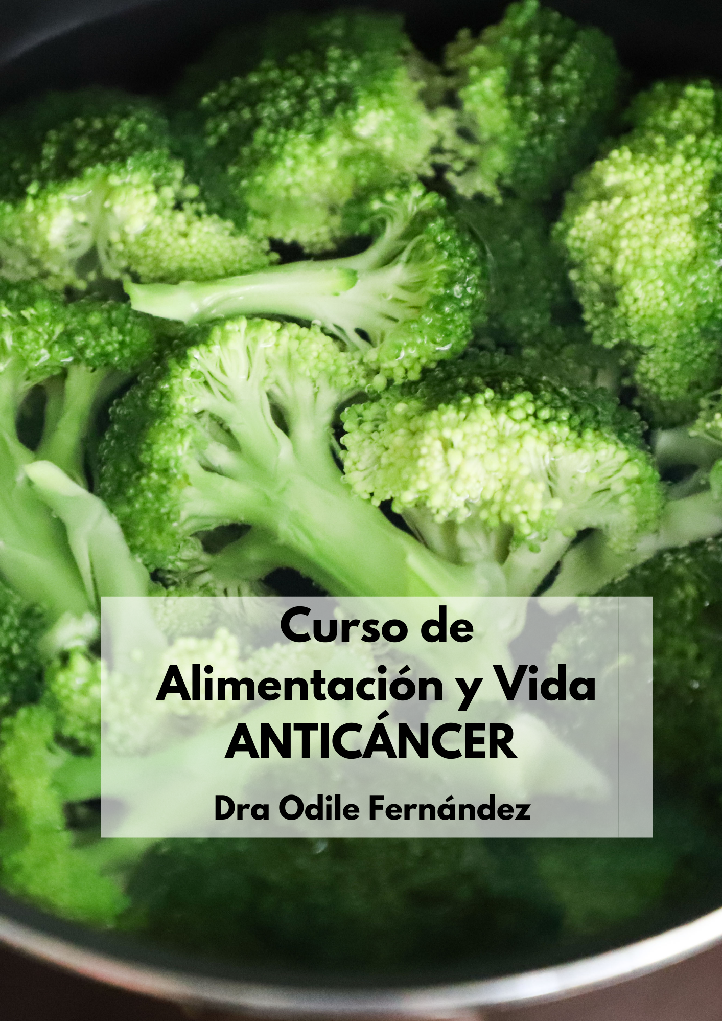 Alimentación y estilo de vida anticáncer, de la teoría a la práctica. Dra. Odile Fdez.