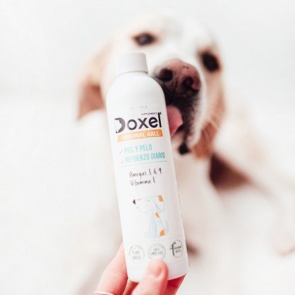 Doxel: Suplementos, Snacks y Cosmética Natural Orgánica para Perros