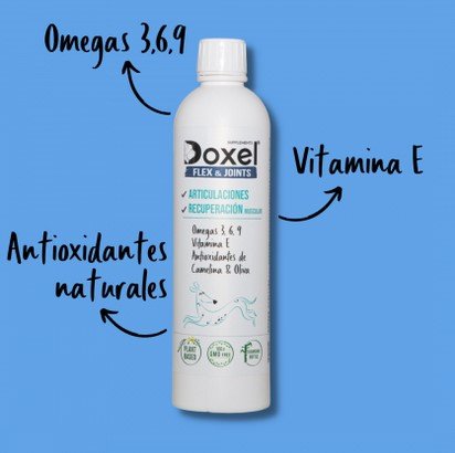 Doxel: Suplementos, Snacks y Cosmética Natural Orgánica para Perros