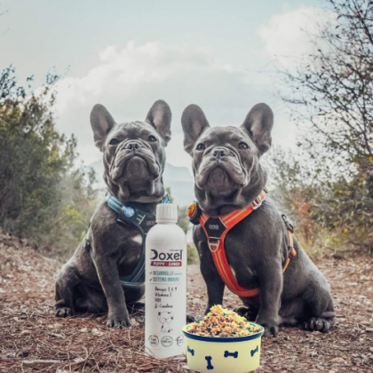 Doxel: Suplementos, Snacks y Cosmética Natural Orgánica para Perros