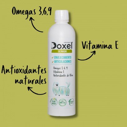 Doxel: Suplementos, Snacks y Cosmética Natural Orgánica para Perros