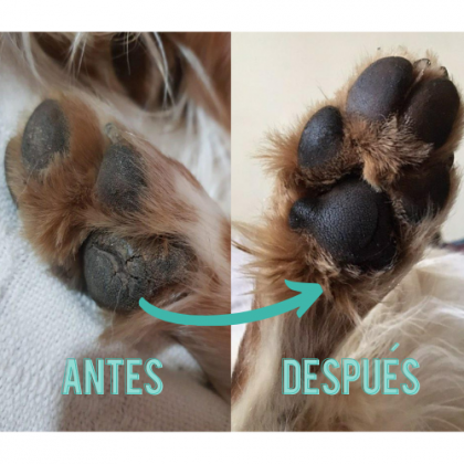 Doxel: Suplementos, Snacks y Cosmética Natural Orgánica para Perros