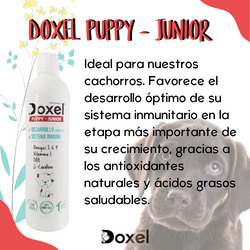 Doxel: Suplementos, Snacks y Cosmética Natural Orgánica para Perros