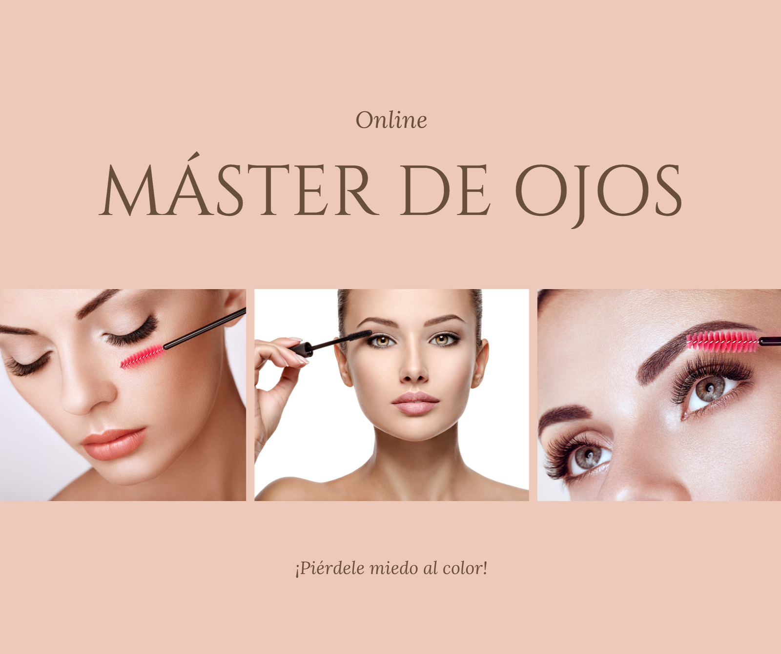 Máster de Ojos - Perfeccionamiento