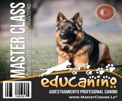 Educanino. Todo sobre Adiestramiento Canino.